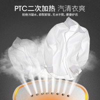 莱克(LEXY)挂烫机GT505 单个装