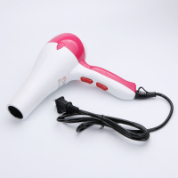 俐爱廷 电吹风 单台装