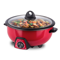 龙的电火锅 LD-HG30C
