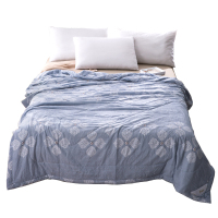 顶瓜瓜DGGXB006超柔水洗棉夏被（岁月如歌）