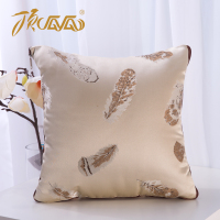 顶瓜瓜DGGZ1001新型抱枕被