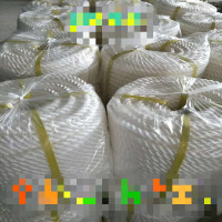 白色尼龙绳包装胶丝绳工艺pp绳塑料胶丝绳