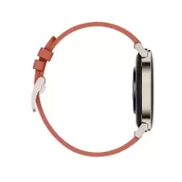 华为智能手表 HUAWEI WATCH GT 2 时尚款 栗木红(42mm)