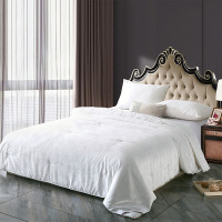 紫韵 ZY-H8107 嫣然御品蚕丝被 200*230