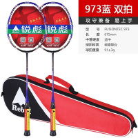 李宁羽毛球拍正品碳素复合双拍 业余初学耐打训练球拍全碳素羽毛球拍对拍 锐彪FUSIONTEC-973蓝色双拍