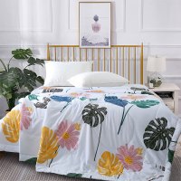 紫韵 ZY-BT1101 清风吟水洗蚕丝被