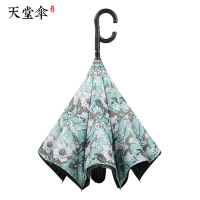 天堂伞自动款雨伞汽车反向伞免持式双层防晒伞长柄晴雨伞两用绿色-升级半自动