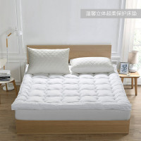 床垫褥子保暖厚床垫床温馨立体超柔保护床垫 纯白