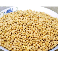 广西农垦 黄豆 450克/袋