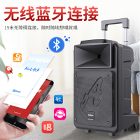 音响爱浪(Avlight)DT-12 低音炮带话筒充电式户外音响