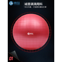 青鸟瑜伽球