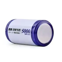 雷摄(LEISE)1号充电电池5000mAh一号镍氢高容量系列电池 适用:燃气灶/热水器专用电池1号5000毫安充电电池