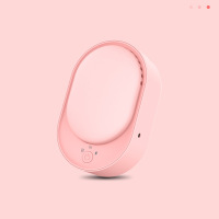 瑞德摩尔 便携充电空气杀菌消毒机净化器 室内除甲醛除臭异味小型消毒机 CYJ-A06 粉色