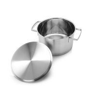 双立人 Passion 深烧锅20cmZW-C101