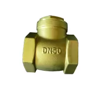 金来邦 卧式止回阀 DN32-H14W-16T