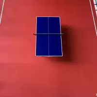 朗宁 乒乓球场布纹地胶