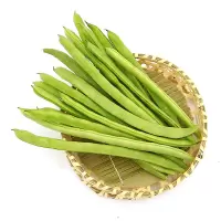 产地直供四季豆(斤)