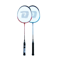 红双喜 羽毛球拍（对拍）