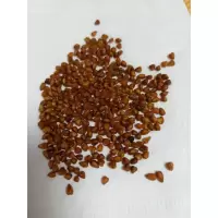 鸿禧牌 优质荞麦茶养生茶散装500g/袋