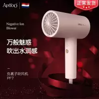 艾优(ApiYoo)PF7恒温负离子大功率 配扩散风嘴吹风筒护发.GS