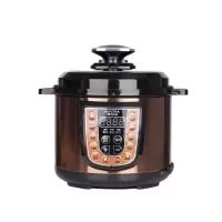 澳柯玛(AUCMA) CLB40-80B19 智能电压力锅