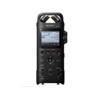 Sony录音笔 PCM-D10 16G