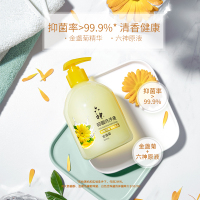 六神 抑菌洗手液（金盏菊） 500ml*12瓶/箱（清洁 滋润） 单箱价格