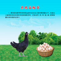 黑鸡谷物蛋