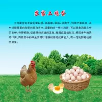 [江苏扶贫][财政集采][丰县]苏米丰 农家土鸡蛋(40枚/箱普箱)