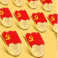 党徽党员胸章强磁党徽磁吸 10个装