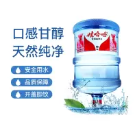 娃哈哈 19L 矿泉水饮用水大桶装 (单位:桶)