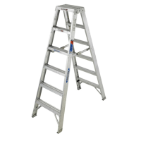 金锚 铝合金双侧梯 (单位：台)