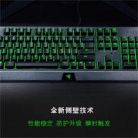 爱普生(EPSON)黑寡妇蜘蛛绿轴游戏机械键盘 黑色 标准版-104键绿轴绿光 雷蛇