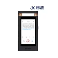科大讯飞 SR501 16G+云存储 中英翻译智能录音笔 (计价单位:台)星空灰