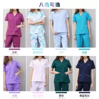 洗手衣分体套装短袖服护士服