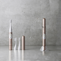 西铁城 (CITIZEN) 电动牙刷 EHS313