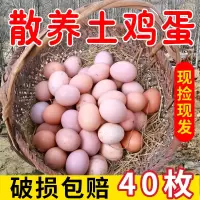 [江苏乡村振兴][财政集采][灌南]灌农 农村土鸡蛋40枚/箱(2箱起拍)