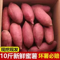 [江苏乡村振兴][财政集采][灌南]灌农现挖红薯10斤