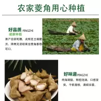 [江苏乡村振兴][财政集采][灌南]灌农现摘菱角5斤