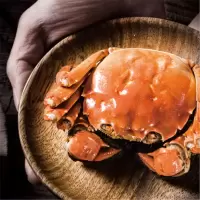 蟹状元 阳澄湖大闸蟹 728型豪华四对装 礼盒装中秋礼品送礼(雄蟹3.5两*4只 雌蟹2.5两*4只)