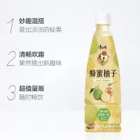 康师傅 蜂蜜柚子茶 500ml*12瓶/箱