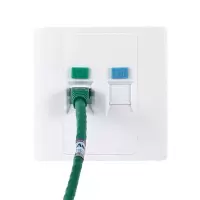 普禄克 双孔面板 电话电脑网线插座面板 双口网线插座 接线板 5个装（单位：件）