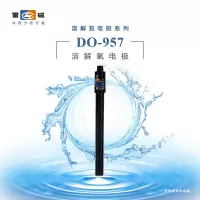 雷磁官方厂家店 DO-957型溶解氧电极 实验室溶解氧电极探头 含氧量检测水质分析仪 可开票 DO-957