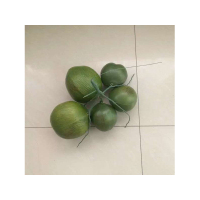 奥一 高玻璃钢高仿真椰树