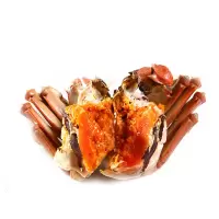YANGCHENG LAKE HAIRY CRABS 阳澄湖大闸蟹4对688型