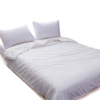 花花公子蚕丝被蚕韵 HXBCS02