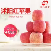 [江苏乡村振兴][财政集采][沭阳]虞美人 红苹果(80果)17.5kg*10箱