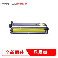 奔图（PANTUM）黄色显影CDO-300DY