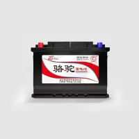 骆驼 蓄电池 电瓶 6-DW-162 100-20 700