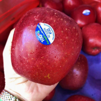 百果园PAGODA A级-红玫瑰苹果(中)4.6-5斤